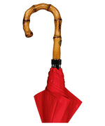 Parapluie
