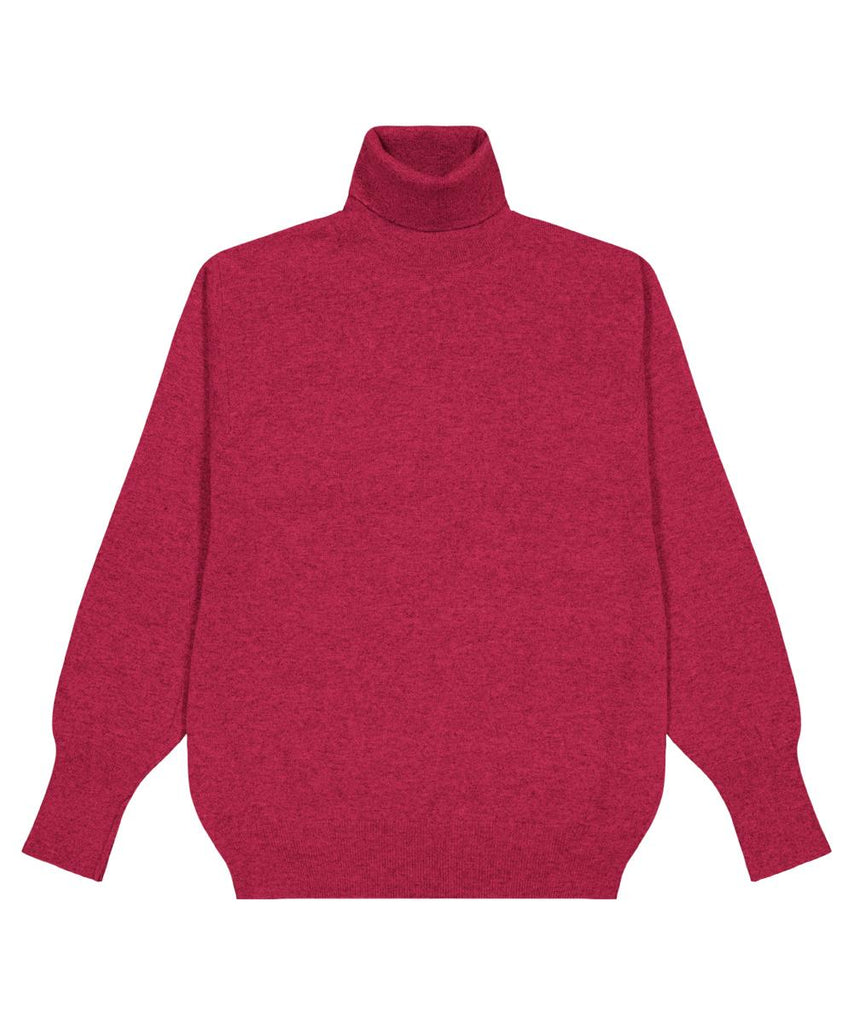 Pull Col Roulé Berteil