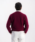 Pull col V 100% laine d'agneau